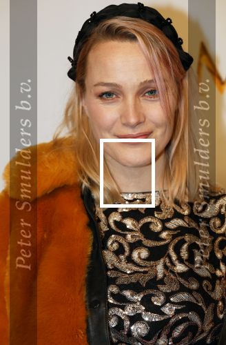 Amsterdam 17 december 2024
Premiere Mufasa (disney) in hotel l\'Europe. Tess Milne