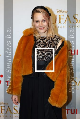 Amsterdam 17 december 2024
Premiere Mufasa (disney) in hotel l\'Europe. Tess Milne