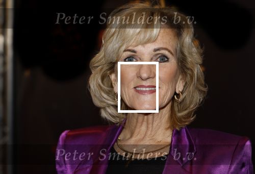 Tilburg 22 december 2024
Premiere theatershow Efteling in schouwburg van Tilburg . Tineke Schouten kwam met dochter en kleinkinderen