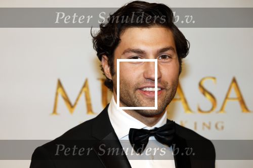 Amsterdam 17 december 2024
Premiere Mufasa (disney) in hotel l\'Europe. 
Tristan v d Lingen