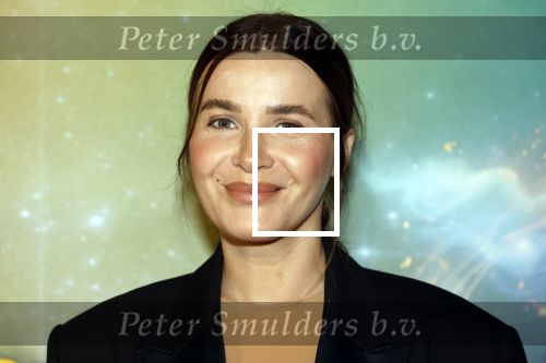 Amsterdam 8 december 2024
Premiere Juf Brakel in Pathe Arena met in de hoofdrollen Nicolette v Dam Martijn Fischer Annette Barlo Ditmar Marlin Flint de Man Floris Gobel Annick Boer Aram v d Rest Bart Oomen Carolina Dijkhuizen ea.Victoria Koblenko
