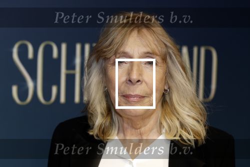 Amsterdam 9 december 2024
Premiere Schitetrend met in de hoofdrollen Holly Brood Gijs Scholten v Asschat Caro Lenssen Hannah Hoekstra Maarten Heijemans Bobbie Mulder Sidar Toksoz  in Tuschinski. Will Koopman