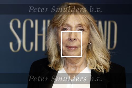 Amsterdam 9 december 2024
Premiere Schitetrend met in de hoofdrollen Holly Brood Gijs Scholten v Asschat Caro Lenssen Hannah Hoekstra Maarten Heijemans Bobbie Mulder Sidar Toksoz  in Tuschinski. Will Koopman
