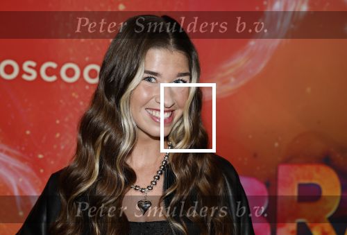 Amsterdam 7 december 2025
Premiere Juf Braaksel in Pathe Noord . Ashley Guijt