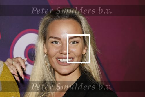 Amsterdam 15 december 2025
Presentatie cast House Villains bij het Tobacco theater . Aanwezig Soundos Ayleem Bella Djamilla Celina King Faisel Malgasio Terror Jaap Ruud Benard Rene Spoelstra en Michella Kox . Ashley de Graaf