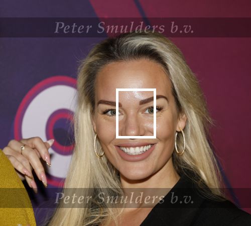 Amsterdam 15 december 2025
Presentatie cast House Villains bij het Tobacco theater . Aanwezig Soundos Ayleem Bella Djamilla Celina King Faisel Malgasio Terror Jaap Ruud Benard Rene Spoelstra en Michella Kox . Ashley de Graaf