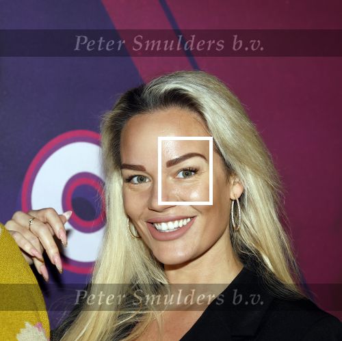 Amsterdam 15 december 2025
Presentatie cast House Villains bij het Tobacco theater . Aanwezig Soundos Ayleem Bella Djamilla Celina King Faisel Malgasio Terror Jaap Ruud Benard Rene Spoelstra en Michella Kox . Ashley de Graaf