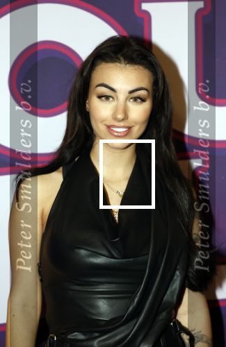 Amsterdam 15 december 2025
Presentatie cast House Villains bij het Tobacco theater . Aanwezig Soundos Ayleem Bella Djamilla Celina King Faisel Malgasio Terror Jaap Ruud Benard Rene Spoelstra en Michella Kox .
