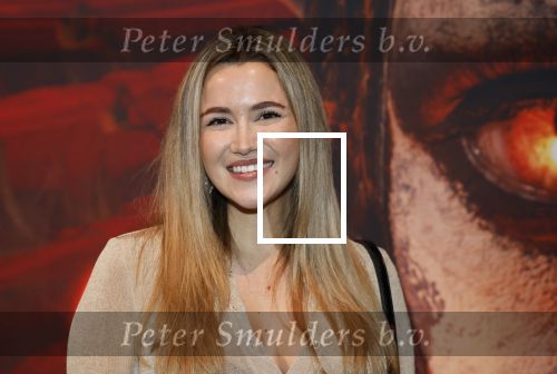 Hilversum 16 december 2025
Premiere Avatar in VUE in Hilversum. Carre Albers