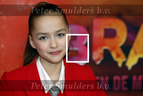 Amsterdam 7 december 2025
Premiere Juf Braaksel in Pathe Noord . Cato Klibansky