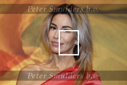 Amsterdam 13 december 2025
Vip dag masters Expo in de Rai . Christie Bokma met een kennis