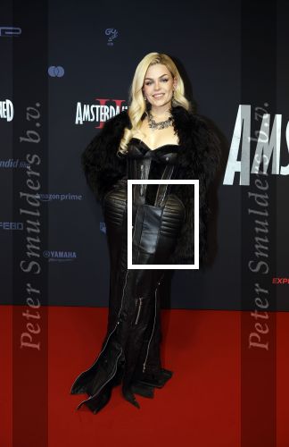 Amsterdam 1 december 2025
Premiere Amsterdamned II in Tuschinski . De hoofdrollen worden gespeeld door Huub Stapel tatum Dagelet en Holly Brood . Davina Michelle
