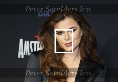Amsterdam 1 december 2025
Premiere Amsterdamned II in Tuschinski . De hoofdrollen worden gespeeld door Huub Stapel tatum Dagelet en Holly Brood . Dianne v d Eng