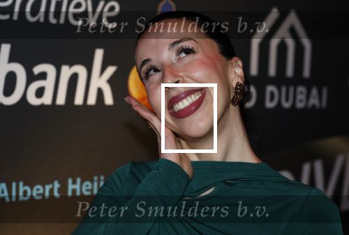 Amsterdam 6 december 2025
Diversity sport gala in het scheepvaartmuseum .