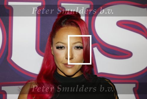 Amsterdam 15 december 2025
Presentatie cast House Villains bij het Tobacco theater . Aanwezig Soundos Ayleem Bella Djamilla Celina King Faisel Malgasio Terror Jaap Ruud Benard Rene Spoelstra en Michella Kox .