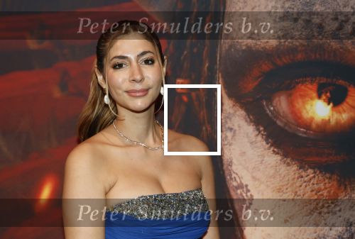 Hilversum 16 december 2025
Premiere Avatar in VUE in Hilversum. Dolshe Gulsen