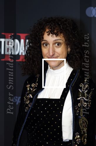 Amsterdam 1 december 2025
Premiere Amsterdamned II in Tuschinski . De hoofdrollen worden gespeeld door Huub Stapel tatum Dagelet en Holly Brood . Dunya Khayame
