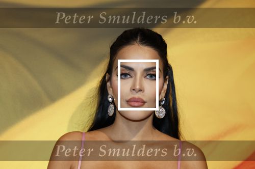 Amsterdam 13 december 2025
Vip dag masters Expo in de Rai . Elvira Penthesilea