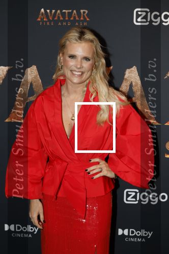 Hilversum 16 december 2025
Premiere Avatar in VUE in Hilversum. Eveline Stallaart
