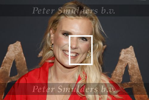 Hilversum 16 december 2025
Premiere Avatar in VUE in Hilversum. Eveline Stallaart