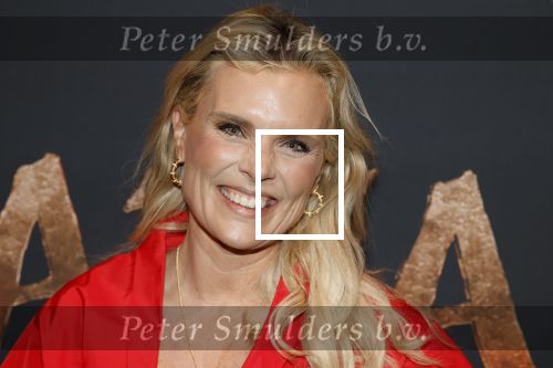 Hilversum 16 december 2025
Premiere Avatar in VUE in Hilversum. Eveline Stallaart