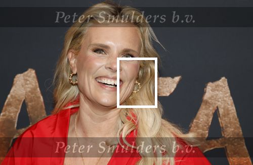 Hilversum 16 december 2025
Premiere Avatar in VUE in Hilversum. Eveline Stallaart