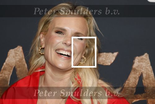 Hilversum 16 december 2025
Premiere Avatar in VUE in Hilversum. Eveline Stallaart
