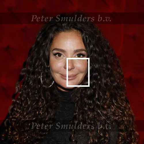 Amsterdam 16 december 2025
Presentatie boekje Fajah Lourens .