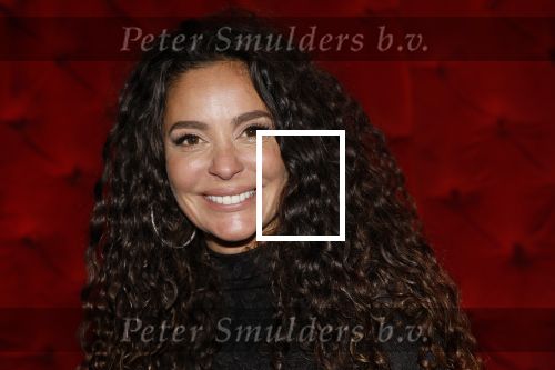 Amsterdam 16 december 2025
Presentatie boekje Fajah Lourens .
