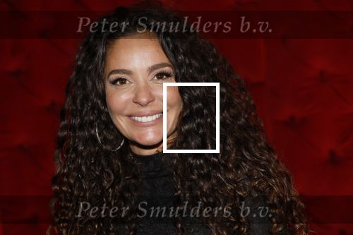 Amsterdam 16 december 2025
Presentatie boekje Fajah Lourens .
