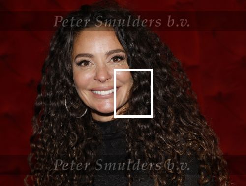 Amsterdam 16 december 2025
Presentatie boekje Fajah Lourens .