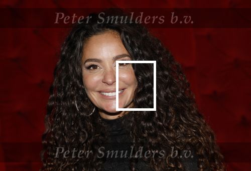 Amsterdam 16 december 2025
Presentatie boekje Fajah Lourens .