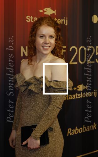 Papendal 17 december 2025
Sportgala waar oa de sportman en sportvrouw van het jaar gekozen worden . Hetty v d Wouw