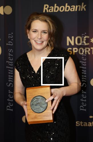 Papendal 17 december 2025
Sportgala waar oa de sportman en sportvrouw van het jaar gekozen worden . Irene Wuust kreeg Oeuvre award