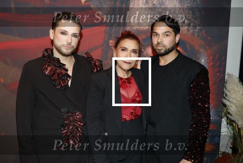 Hilversum 16 december 2025
Premiere Avatar in VUE in Hilversum. Jerrel Baumann met moeder en ....