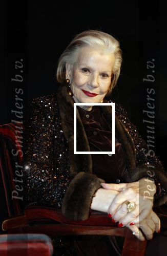 Amsterdam 2 december 2025
Presenatie Grannies van Amsterdam seizoen 2 . Martine v Os doet de presentatie. 
De Grannies bestaan uit Joanita Mug Tonneke en Lorraine . Ook hun kleinkinderen waren aanwezig  in Tuschinski