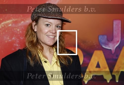 Amsterdam 7 december 2025
Premiere Juf Braaksel in Pathe Noord . Juliette v ardenne met kinderen