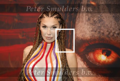 Hilversum 16 december 2025
Premiere Avatar in VUE in Hilversum. Kelly v d Veer