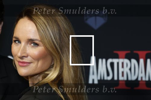 Amsterdam 1 december 2025
Premiere Amsterdamned II in Tuschinski . De hoofdrollen worden gespeeld door Huub Stapel tatum Dagelet en Holly Brood . Lieke v Lexmond kwam met haar man Bas v Veggel