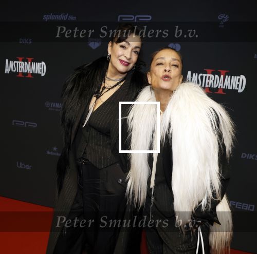 Amsterdam 1 december 2025
Premiere Amsterdamned II in Tuschinski . De hoofdrollen worden gespeeld door Huub Stapel tatum Dagelet en Holly Brood . Lois Lane Monique Klemann en Suzanne Klemann