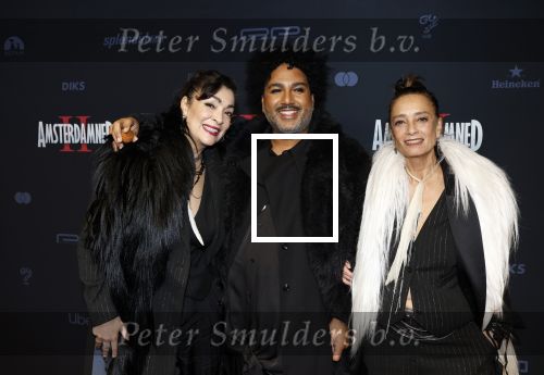 Amsterdam 1 december 2025
Premiere Amsterdamned II in Tuschinski . De hoofdrollen worden gespeeld door Huub Stapel tatum Dagelet en Holly Brood . Lois Lane Monique Klemann en Suzanne Klemann
