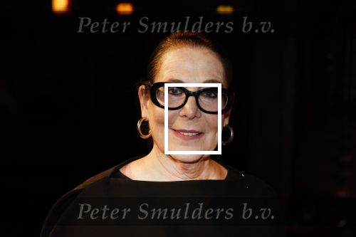 Amsterdam 2 december 2025
Presenatie Grannies van Amsterdam seizoen 2 . Martine v Os doet de presentatie. 
De Grannies bestaan uit Joanita Mug Tonneke en Lorraine . Ook hun kleinkinderen waren aanwezig  in Tuschinski