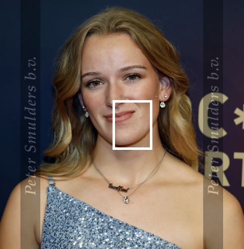 Papendal 17 december 2025
Sportgala waar oa de sportman en sportvrouw van het jaar gekozen worden . Lotte v Drunen