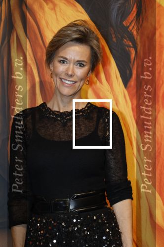 Amsterdam 13 december 2025
Vip dag masters Expo in de Rai . Madelon de Joode