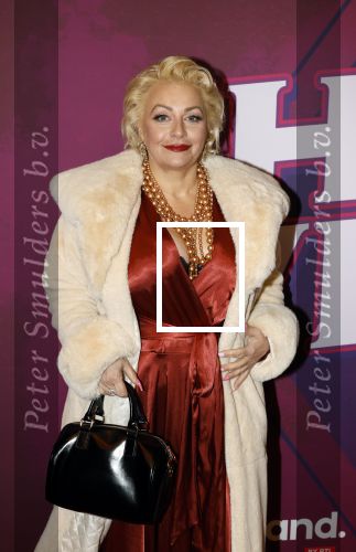 Amsterdam 15 december 2025
Presentatie cast House Villains bij het Tobacco theater . Aanwezig Soundos Ayleem Bella Djamilla Celina King Faisel Malgasio Terror Jaap Ruud Benard Rene Spoelstra en Michella Kox .