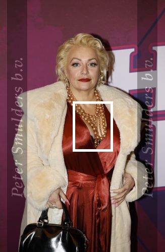 Amsterdam 15 december 2025
Presentatie cast House Villains bij het Tobacco theater . Aanwezig Soundos Ayleem Bella Djamilla Celina King Faisel Malgasio Terror Jaap Ruud Benard Rene Spoelstra en Michella Kox .