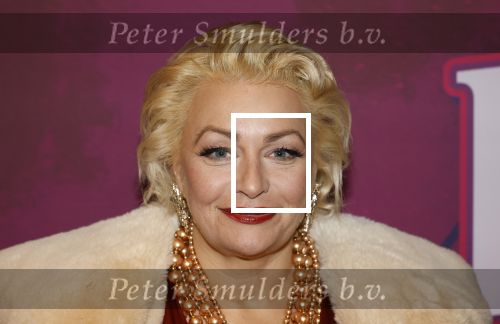 Amsterdam 15 december 2025
Presentatie cast House Villains bij het Tobacco theater . Aanwezig Soundos Ayleem Bella Djamilla Celina King Faisel Malgasio Terror Jaap Ruud Benard Rene Spoelstra en Michella Kox .