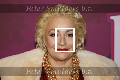 Amsterdam 15 december 2025
Presentatie cast House Villains bij het Tobacco theater . Aanwezig Soundos Ayleem Bella Djamilla Celina King Faisel Malgasio Terror Jaap Ruud Benard Rene Spoelstra en Michella Kox .
