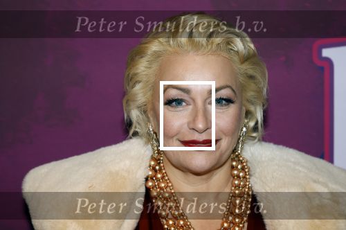 Amsterdam 15 december 2025
Presentatie cast House Villains bij het Tobacco theater . Aanwezig Soundos Ayleem Bella Djamilla Celina King Faisel Malgasio Terror Jaap Ruud Benard Rene Spoelstra en Michella Kox .