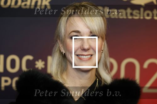 Papendal 17 december 2025
Sportgala waar oa de sportman en sportvrouw van het jaar gekozen worden . Marianne Timmer